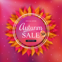 Autumn sales banner design and colorful seasonal fall leaves. and concept autumn advertising. for shopping discount promotion, frame leaflet or web banner. and used as illustration or background.