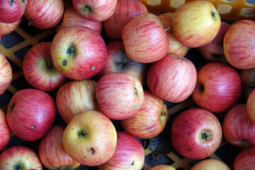 Äpfel