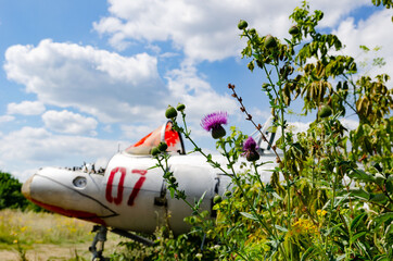 plane- 8 August 2020: Old aircraft Antonov An-2 at abandoned Airbase aircraft cemetery in...