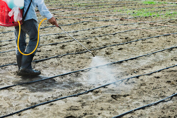 farmer spraying pesticide in the field