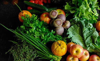 A small variety of fruits and vegetables that have just arrived from the organic fair.