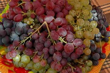 Fresh ripe white, black and pink grapes, ready to eat, Zavet, Bulgaria  
