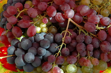 Fresh ripe white, black and pink grapes, ready to eat, Zavet, Bulgaria  