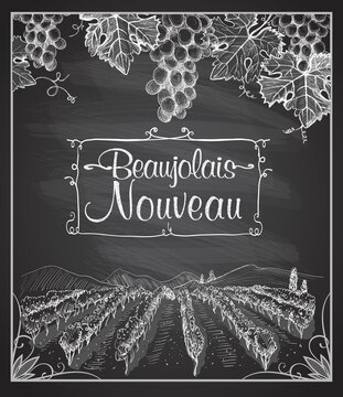 Beaujolais nouveau chalkboard with hand drawn vineyard