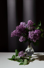 Still life of bright branch of lilac in the glass vase on white table on grey curtains background