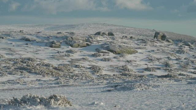 Snow covered hill winter with grass vegetation rising above the icy tundra