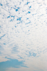 Blue Sky Background with White Clouds. Altocumulus cloud during the day