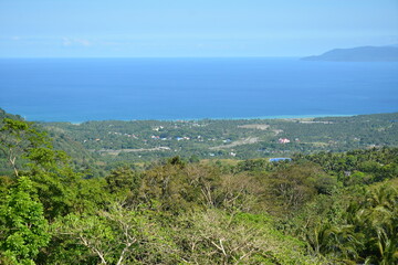 Mountain and trees scenic view during daytime