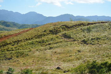 Mountain and trees scenic view during daytime