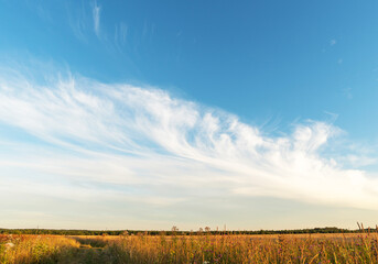 Fototapeta premium Blue skyline. White clouds. Nature.