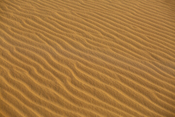 Fototapeta na wymiar Closeup texture of desert sand dunes on sunset in Oleshky sands, Ukraine