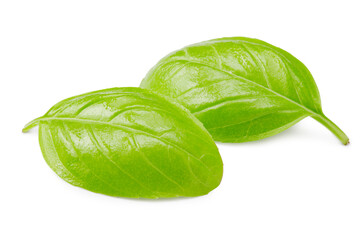Fototapeta premium Basil leaves isolated on white background. Macro