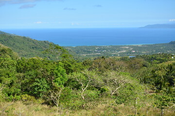 Mountain and trees scenic view during daytime