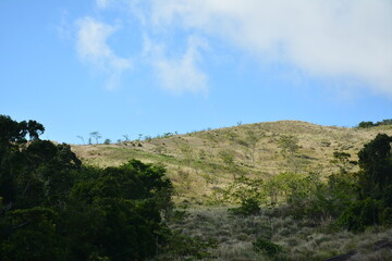 Fototapeta na wymiar Mountain and trees scenic view during daytime