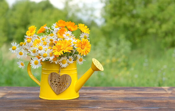 summer flowers bouquet in yellow watering can. rustic garden still life. summer blossom season. copy space