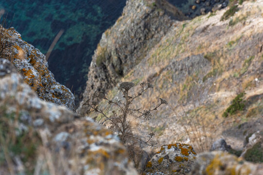 View from the cliff down to the sea. Beautiful turquoise sea water. Rocky coast close-up. The black sea in Crimea. Cape Fiolent Sevastopol. © Anna Pismenskova