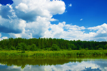Beautiful view of the forest by the river in summer. Reflection in the water