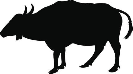 silhouette of a bull