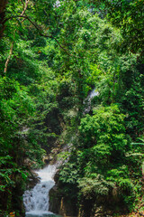 Fototapeta na wymiar Jungle waterfall cascade in tropical rainforest with rock and turquoise blue pond.