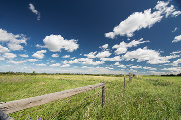 Fototapeta na wymiar Prairie Landscape in Northern Alberta over natural grasslands.