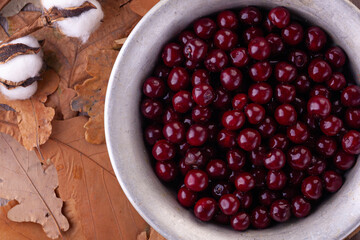 ripe cherry in close-up on a vintage metal plate against the background of autumn leaves.