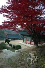 South Korea Daeseungsa Buddhist Temple