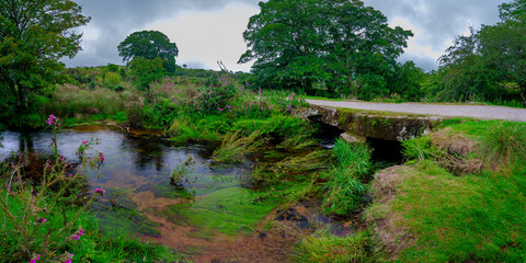 Ancient cart track and clapper bridge over the De Lank river on Bodmin Moor, Cornwall, UK