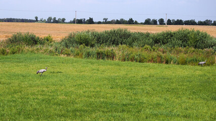 OLYMPUS DIGITAL CAMERA © Marta