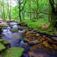 Golitha Falls on the River Fowey on Bodmin Moor near Liskeard, Cornwall