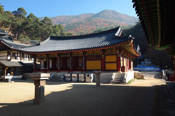 Fototapeta premium South Korea Gimyongsa Buddhist Temple