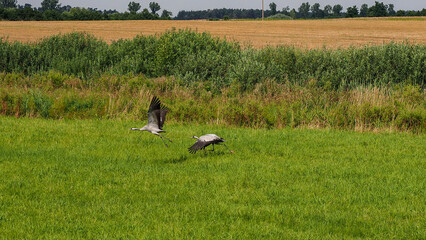 OLYMPUS DIGITAL CAMERA © Marta