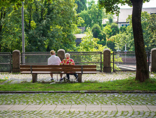 An elderly couple sits on a park bench in a summer afternoon