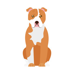 cartoon pitbull dog icon, flat style