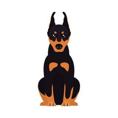 cartoon doberman dog icon, flat style