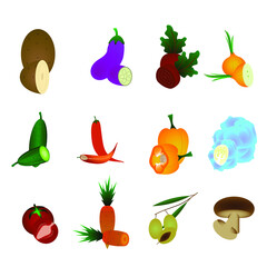 Vegetables set. Potato, tomato, carrot, mushrooms and more. Isolated vector illustrated.
