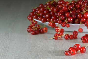 Fresh red currant berries pouring out of white bowl on wooden table