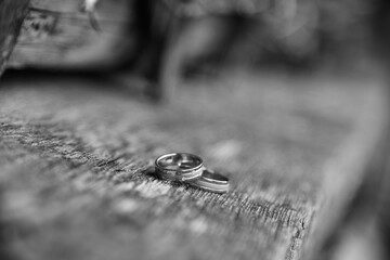 Rings on a wooden base. Wedding concept. Black and white photography.