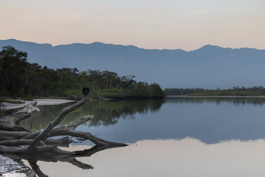 Paisagem do Rio Guaratuba, litoral da cidade de Bertioga, litoral Brasileiro, em um entardecer com o troco da arvore ca&iacute;do ao lado eo reflexo das sombras na &aacute;gua. 
