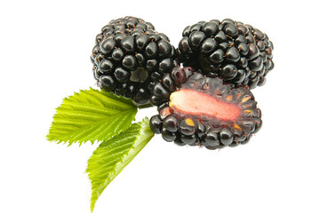 Large ripe blackberry with half