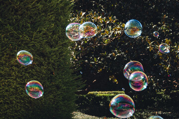 fliegende Seifenblasen im Park