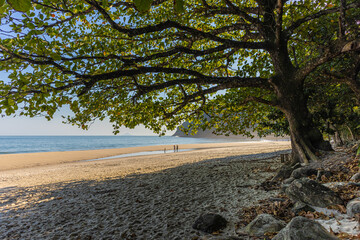 Paisagem da praia de Toque-toque, São Sebastião, Estado de São Paulo, Sombra de uma árvore nas areias da praia com algumas pedras em baixo e o mar á esquerda com sol forte. 