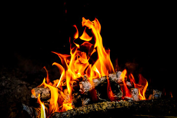 Flames in different forms of a bonfire made with orange tree trunks with a black background