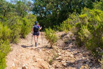 Hiker woman climbing a path through the 