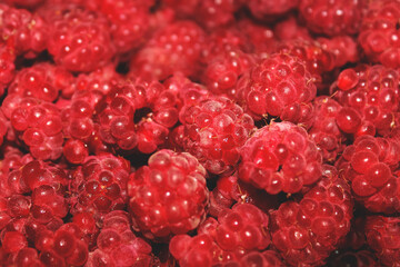Lots of raspberries. Perfect background for your design