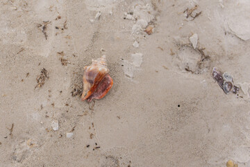 Exploring Marco Island 10000 ten thousand islands secluded beaches 