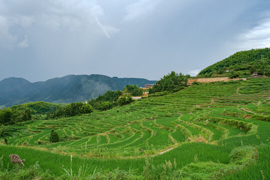 Summer terrace in Yunhe County Lishui city Zhejiang province China.
