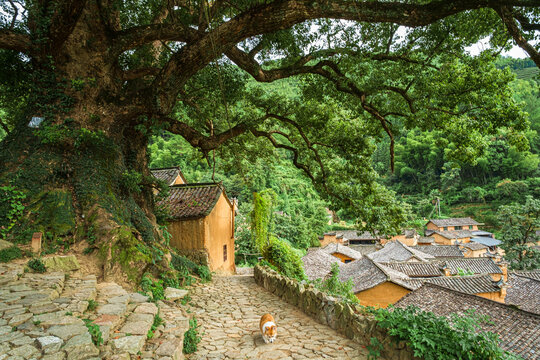 Yangjiatang old village in the middle of the mountains in Songyang County,  Zhejiang Province, China.