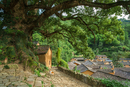 Yangjiatang old village in the middle of the mountains in Songyang County,  Zhejiang Province, China.