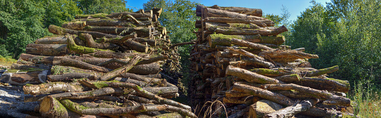 Fototapeta na wymiar Tas de bois - travaux forestier