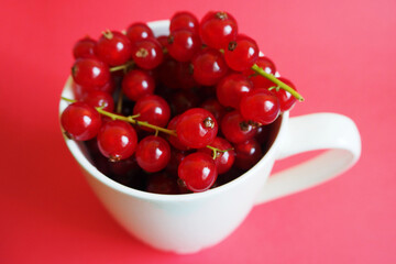 close up red currant berries in a white Cup on a red background side view . summer seasonal red berries